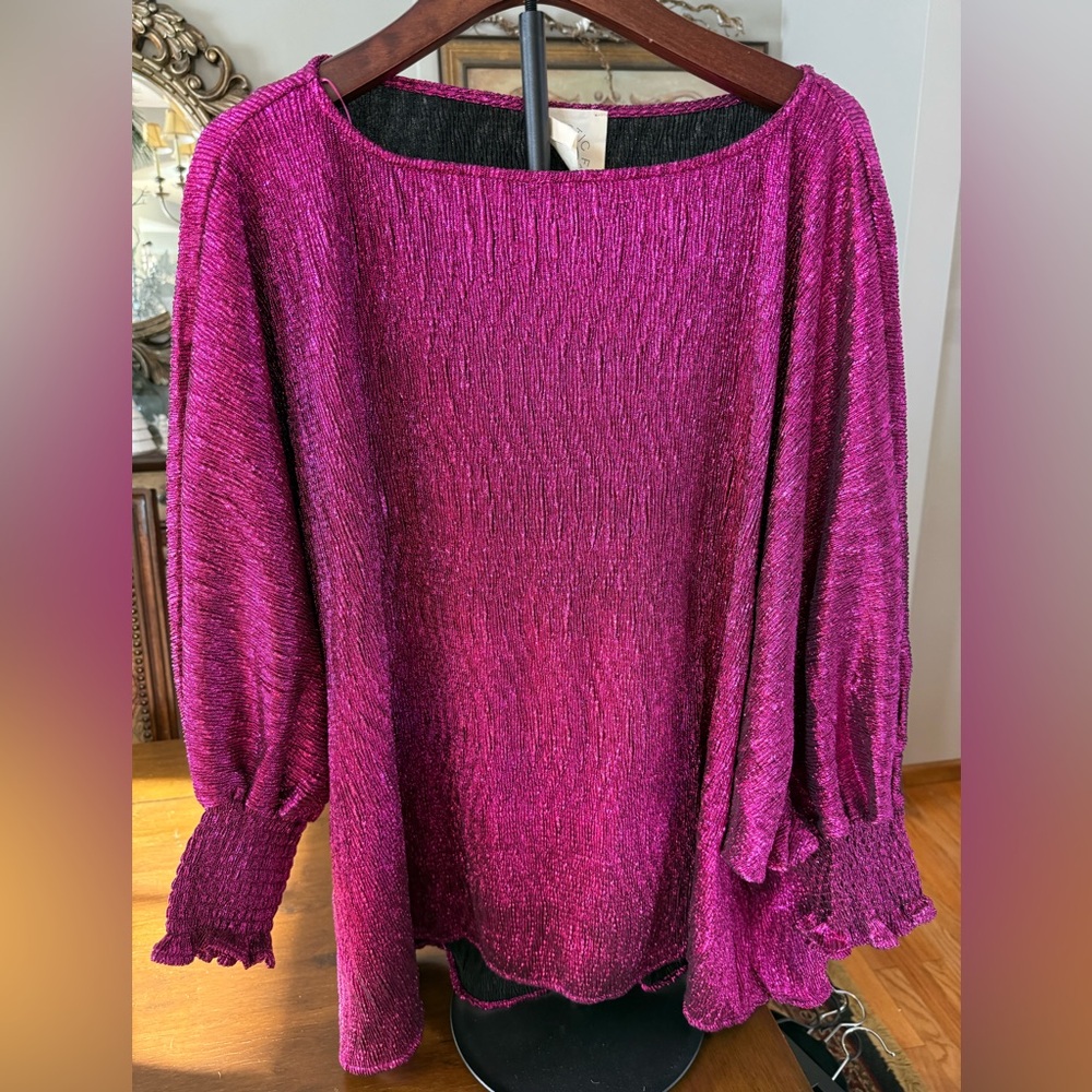 Fantastic Fawn Brand New Oversized Elegant Fuchsia Blouse